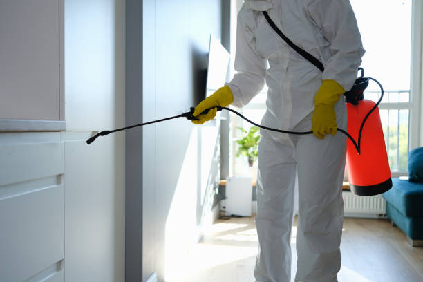 Best Crawl Space Mold Removal  in Georgetown, KY
