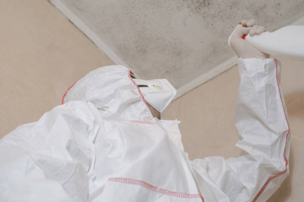 Mold Testing and Removal in Georgetown, KY