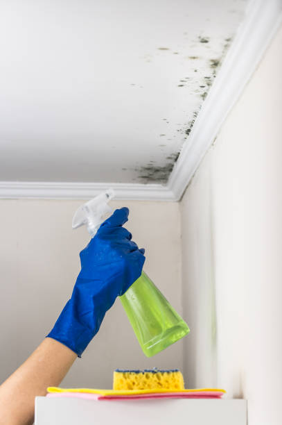 Water Damage Restoration in Georgetown, KY